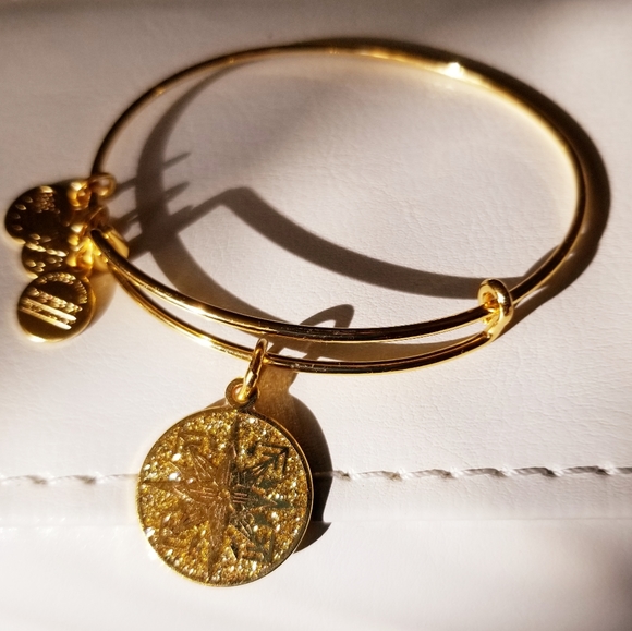 Alex and Ani, Healing Love, Sparkling, Charm Bracelet - Picture 3 of 7